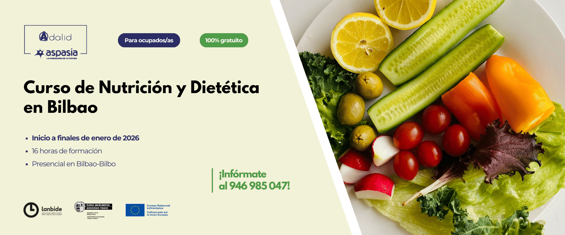 NUTRICIÓN Y DIETÉTICA (Bilbao) - Ocupados/as NUTRICIÓN Y DIETÉTICA (Bilbao) - Ocupados/as
