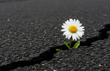 LA VIOLENCIA FAMILIAR Y CONTRA LA MUJER (Bilbao) - Ocupados/as