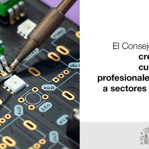 El Consejo de Ministros aprueba la creación de 30 nuevas cualificaciones profesionales vinculadas a sectores estratégicos