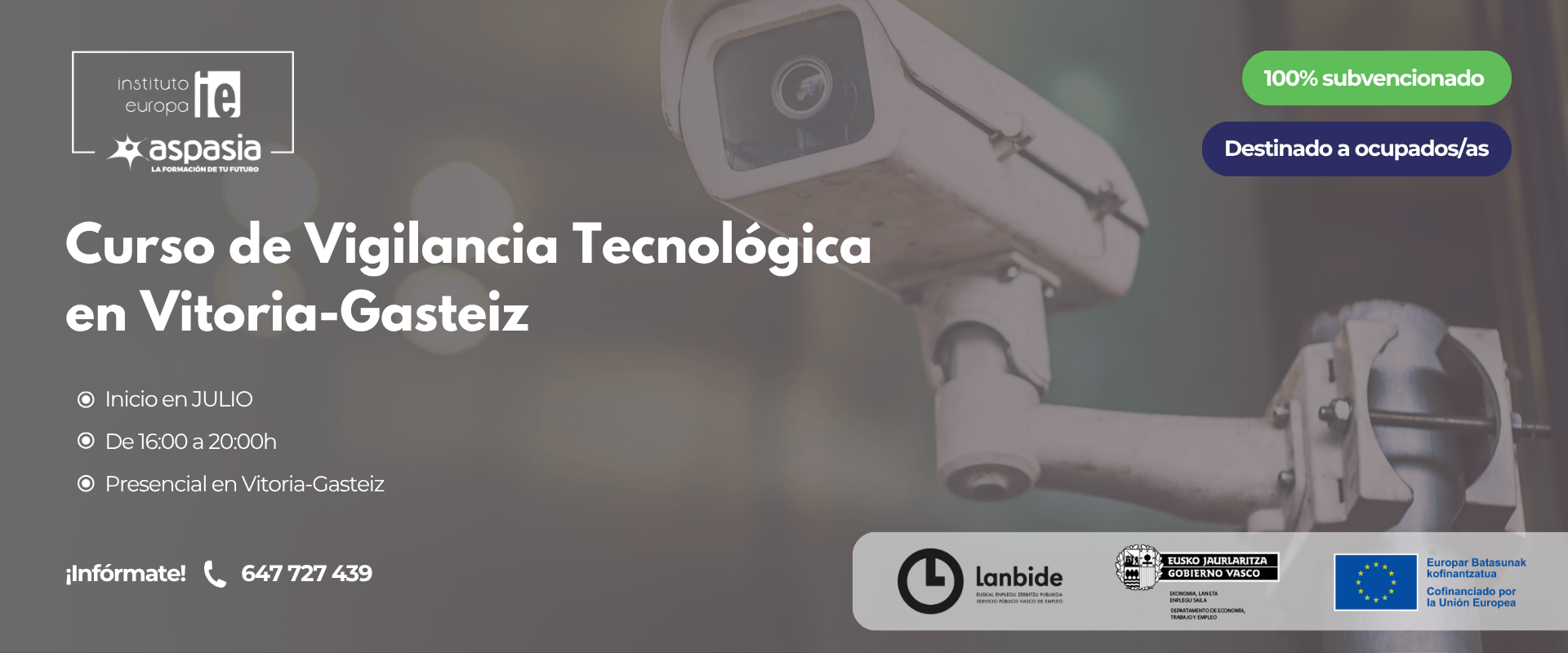 CURSO DE VIGILANCIA TECNOLÓGICA (Vitoria-Gasteiz) - Ocupados/as
