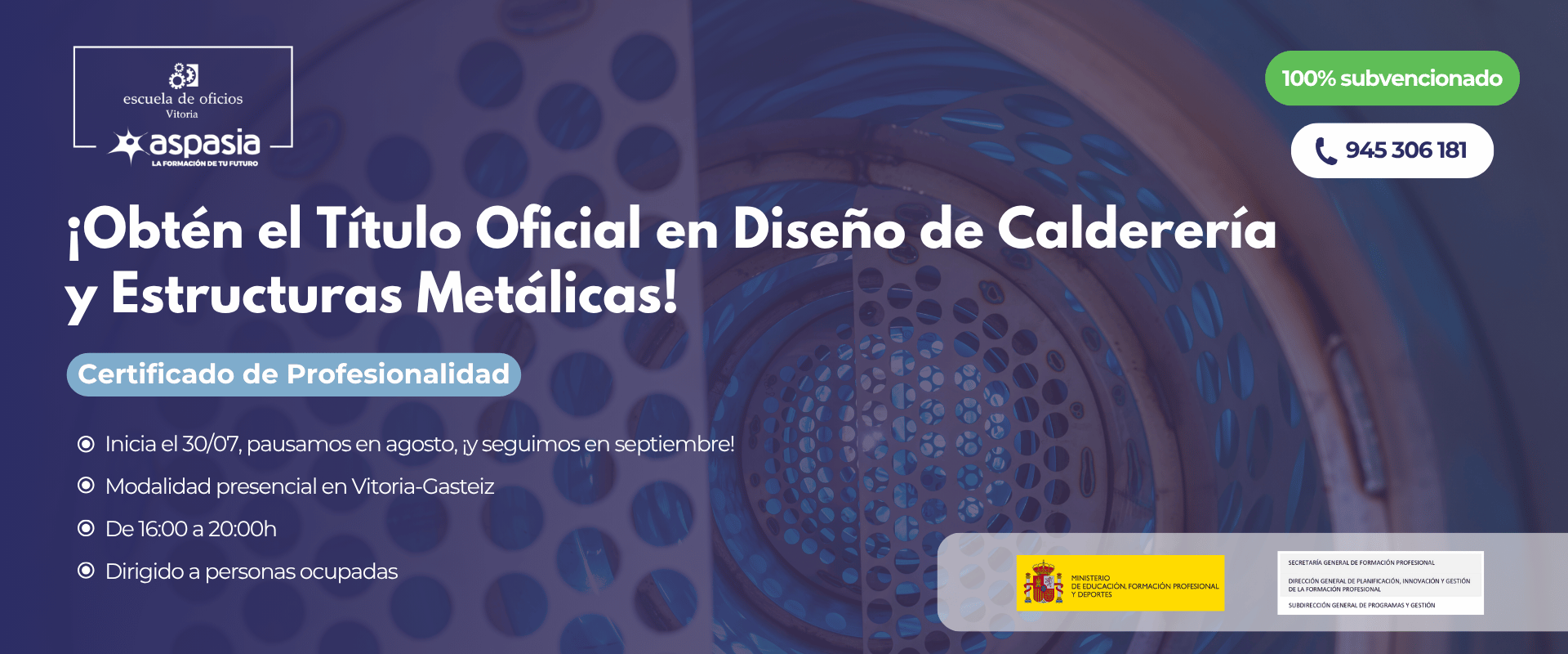 DISEÑO DE CALDERERÍA Y ESTRUCTURAS METÁLICAS (Vitoria-Gasteiz) - Ocupados/as