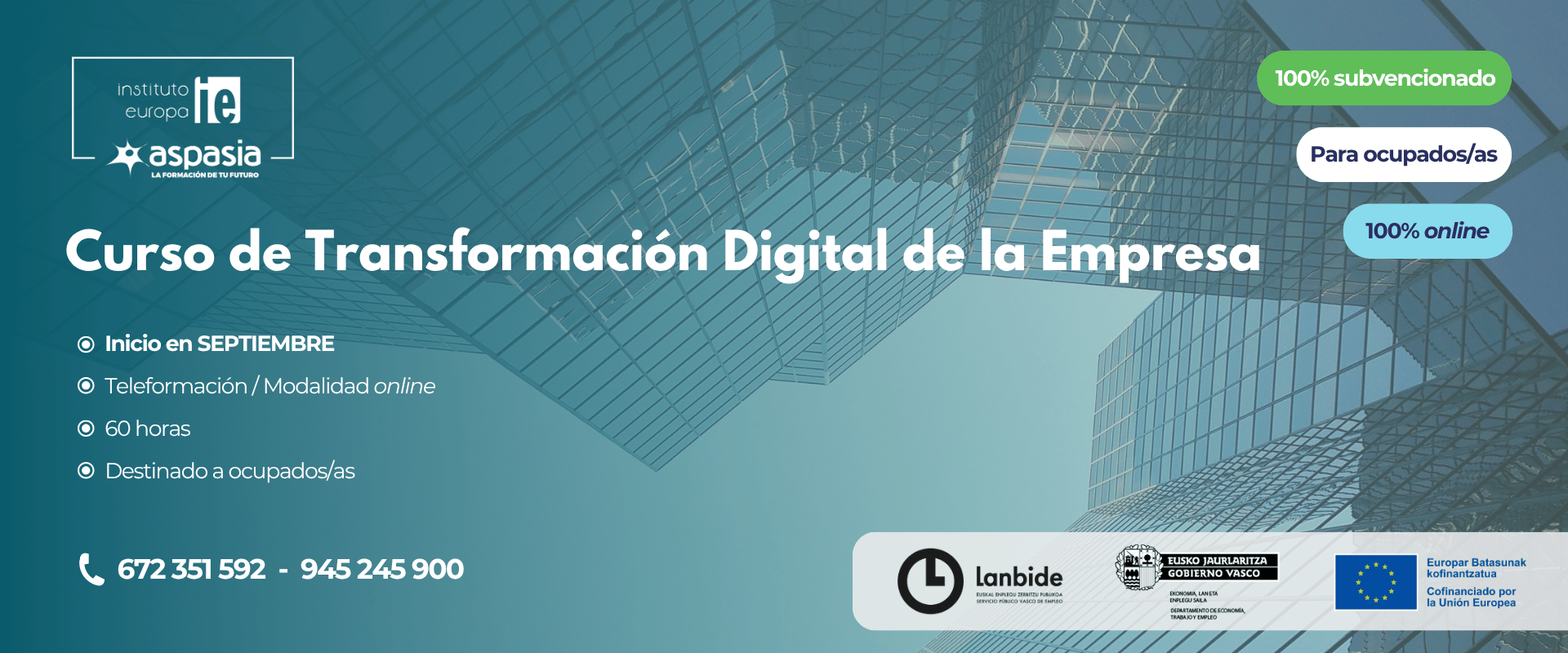 TRANSFORMACIÓN DIGITAL DE LA EMPRESA - Ocupados/as