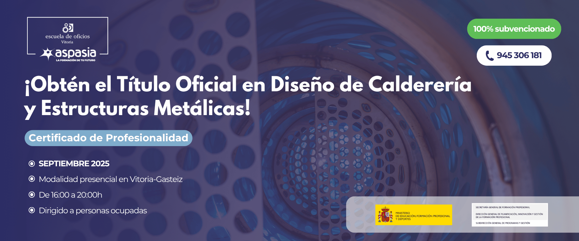 DISEÑO DE CALDERERÍA Y ESTRUCTURAS METÁLICAS (Vitoria-Gasteiz) - Ocupados/as