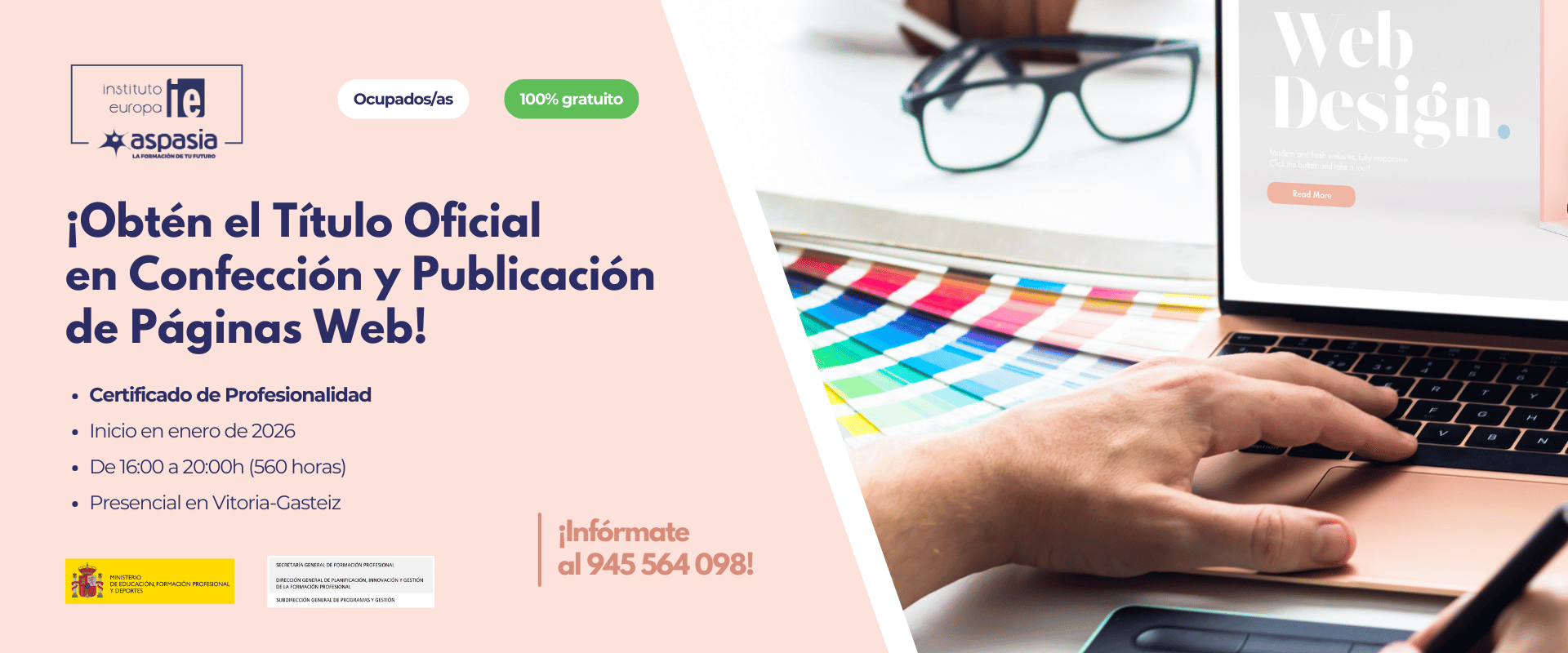 TÍTULO OFICIAL EN CONFECCIÓN Y PUBLICACIÓN DE PÁGINAS WEB (Vitoria-Gasteiz) - Ocupados/as